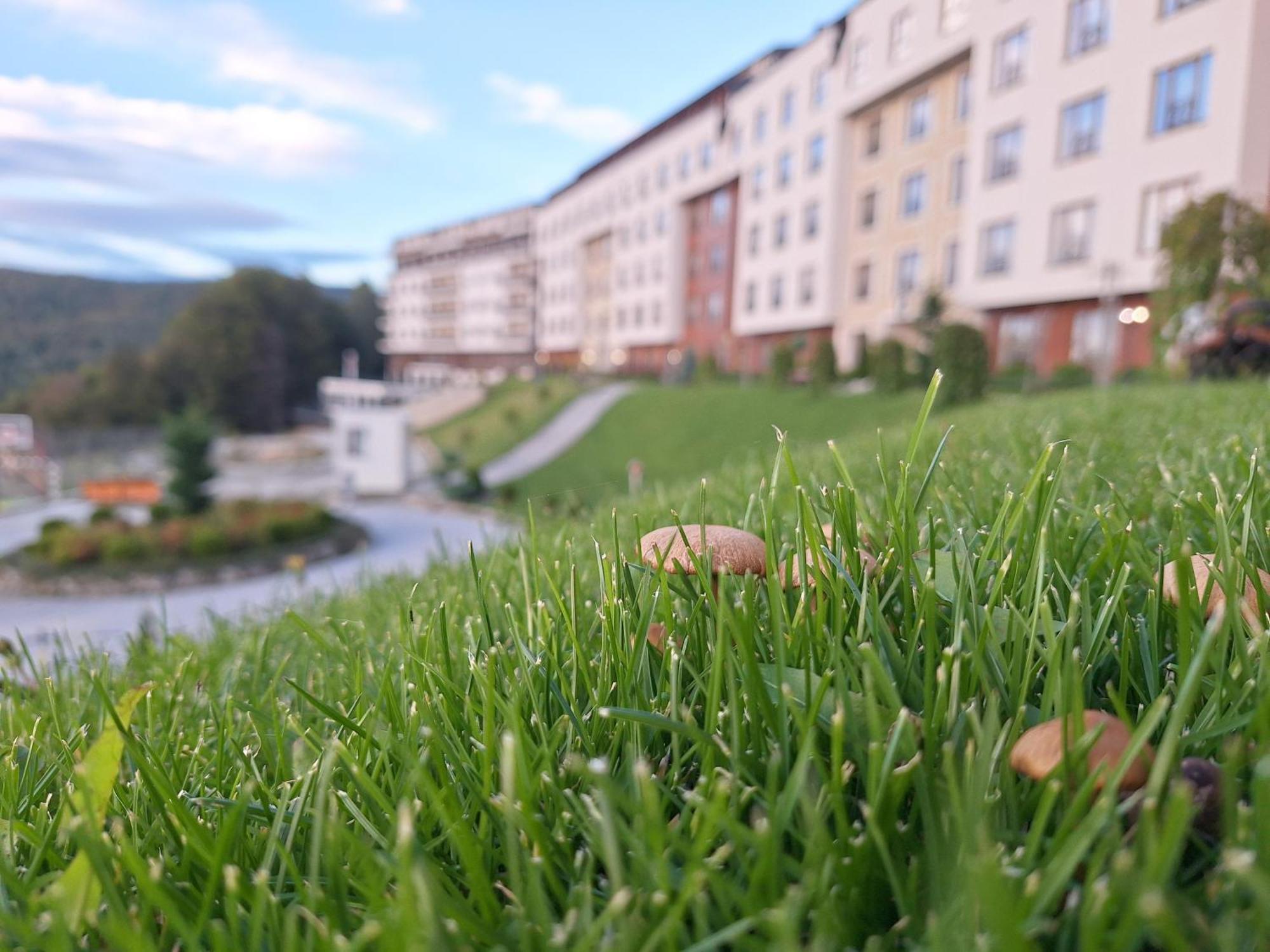Apartament Vistanova Milmari S33 Kopaonik Zewnętrze zdjęcie